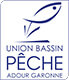 Logo UFBAG'